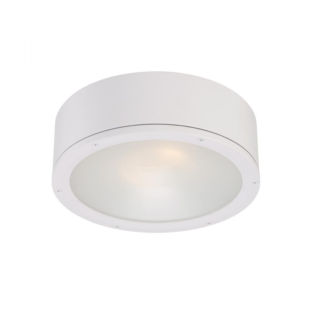 TUBE Outdoor Flush Mount Light