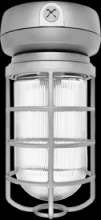 RAB Lighting VX2F42-3/4 - Vaporproof, 3200 lumens, CFL, ceiling mount, 42W, QT, 3/4 inch, with Glass globe, cast guard