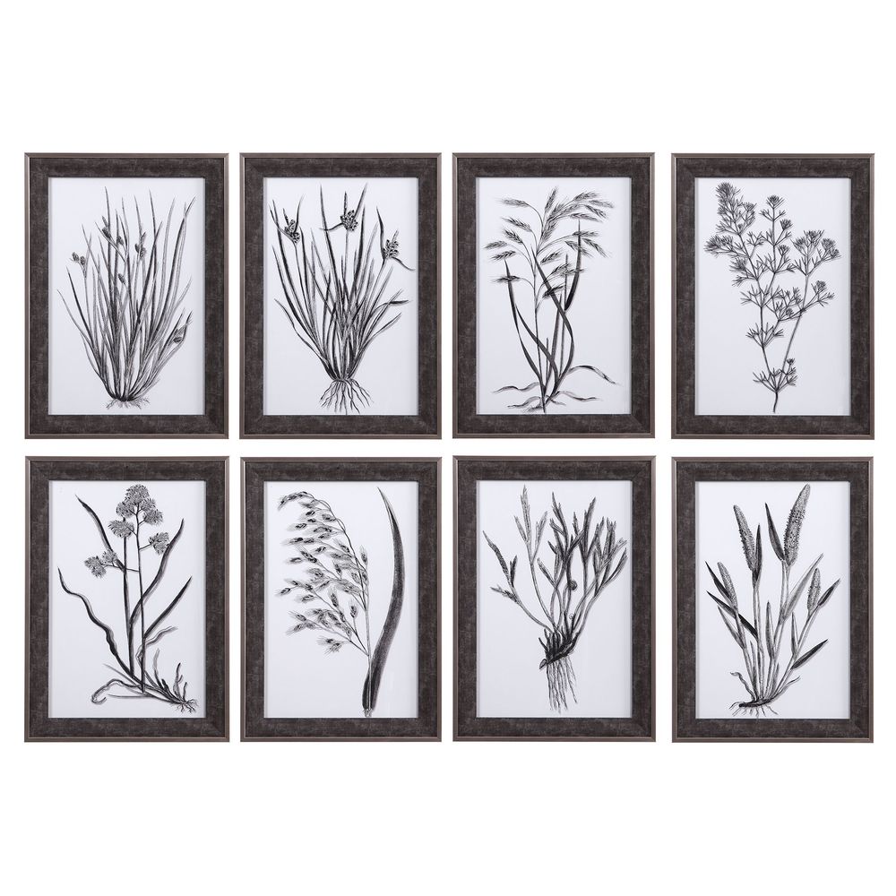 Uttermost Classic Botany Framed Prints, Set/8