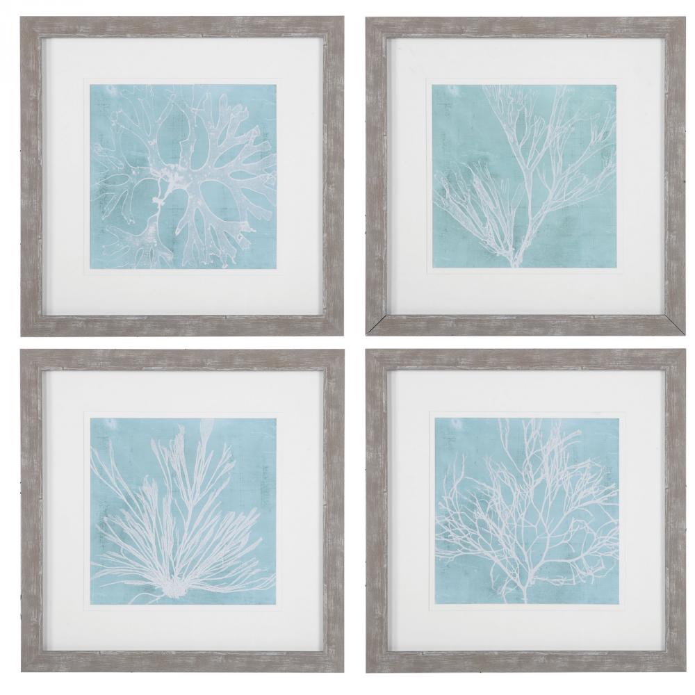 Uttermost Seaweed On Aqua Framed Prints S/4