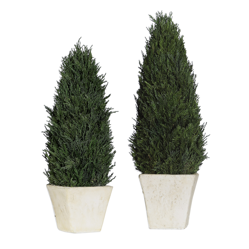 Uttermost Cypress Cone Topiaries, S/2