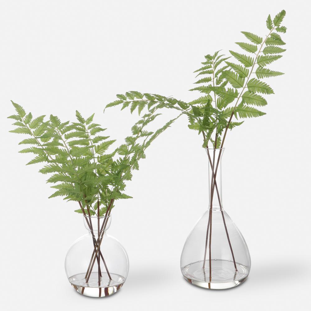 Uttermost Country Ferns, S/2