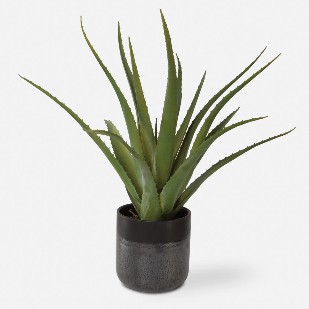 Uttermost Tucson Aloe Planter