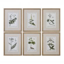 Uttermost 33651 - Uttermost Green Floral Botanical Study Prints S/6