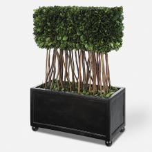 Uttermost 60188 - Uttermost Preserved Boxwood Rectangular Topiary