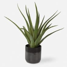 Uttermost 60204 - Uttermost Tucson Aloe Planter